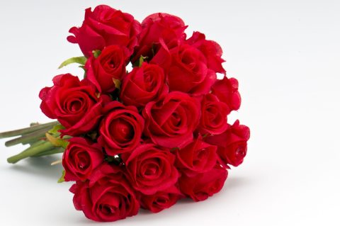 Blume Ideal
Dein persönlicher Blumenladen im Internet. Blumen sind nicht nur schöne Dekorationen, sondern auch Ausdruck von Gefühlen und Wertschätzung.
Die Links sind sogenannte Affiliate-Links. Erfolgt darüber eine Vermittlung oder Einkauf, erhalten wir eine Provision ohne Mehrkosten für Sie.