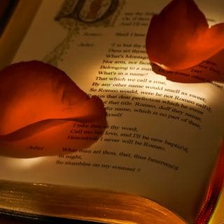 Dating Café
Für Singles über 35, die auf der Suche nach einer ernsthaften Beziehung sind, stellt das Dating Café eine herausragende Wahl dar. Die Kombination aus Vielfalt, Sicherheit und einem klaren Fokus auf echte Verbindungen macht diese Plattform zu einem idealen Ort, um neue Menschen kennenzulernen und vielleicht sogar die große Liebe zu finden.